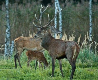 files/vjbh/vjbh-bilder/Bilder fuer Artikel/20111001-img_32912pl3.jpg